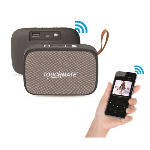 Portable Wireless Speaker with USB, SD, FM & Bluetooth