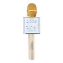 Wireless Karaoke Mic with  Bluetooth Dual Speakers and Equalizer (Professional Karaoke)