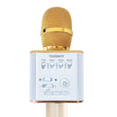 Wireless Karaoke Mic with  Bluetooth Dual Speakers and Equalizer (Professional Karaoke)