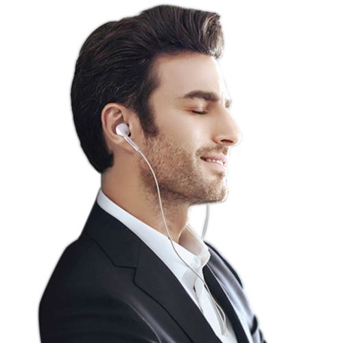 Stereo Earphone with Mic