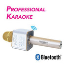 Wireless Karaoke Mic with  Bluetooth Dual Speakers and Equalizer (Professional Karaoke)