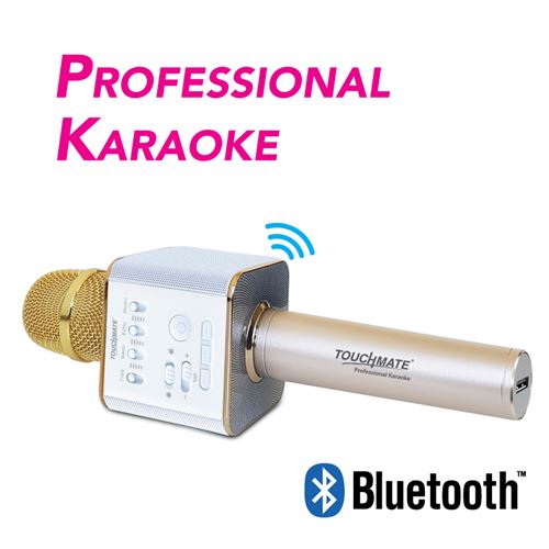Wireless Karaoke Mic with  Bluetooth Dual Speakers and Equalizer (Professional Karaoke)