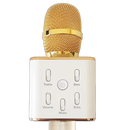 Wireless Karaoke Mic with Bluetooth Dual  Speakers & Equalizer (Professional Karaoke)