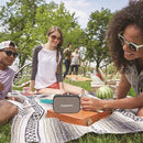 Portable Wireless Speaker with USB, SD, FM & Bluetooth