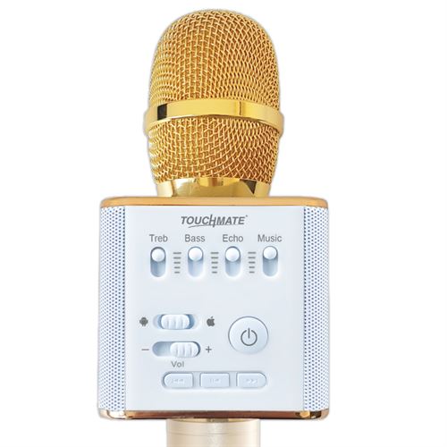 Wireless Karaoke Mic with  Bluetooth Dual Speakers and Equalizer (Professional Karaoke)