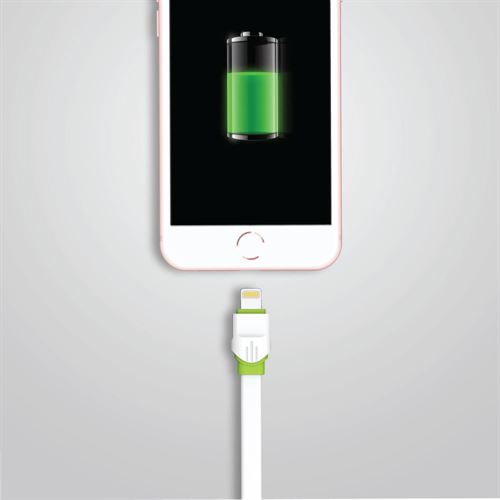 Lightning 2.4 Amp Cable (iPhone)