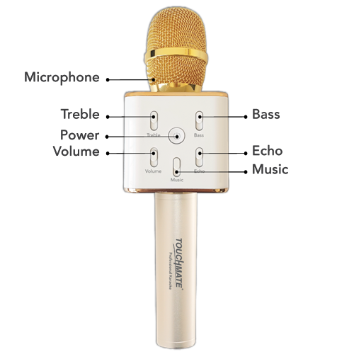 Wireless Karaoke Mic with Bluetooth Dual  Speakers & Equalizer (Professional Karaoke)